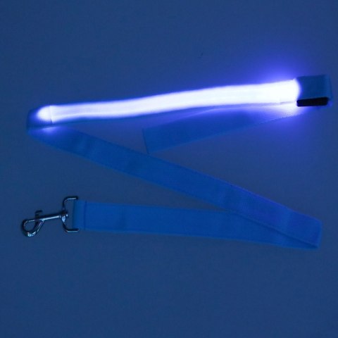 Smycz dla psa kota świecąca spacer jesień zima noc LED 1,2 m niebieska Smycz dla psa kota świecąca spacer jesień zima noc LED 1,2 m niebieska