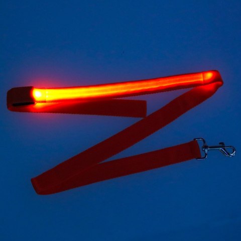 Smycz dla psa kota świecąca spacer jesień zima noc LED 1,2 m pomarańczowa Smycz dla psa kota świecąca spacer jesień zima noc LED 1,2 m pomarańczowa