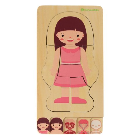 Puzzle drewniane warstwowe budowa ciała montessori dziewczynka Puzzle drewniane warstwowe budowa ciała montessori dziewczynka