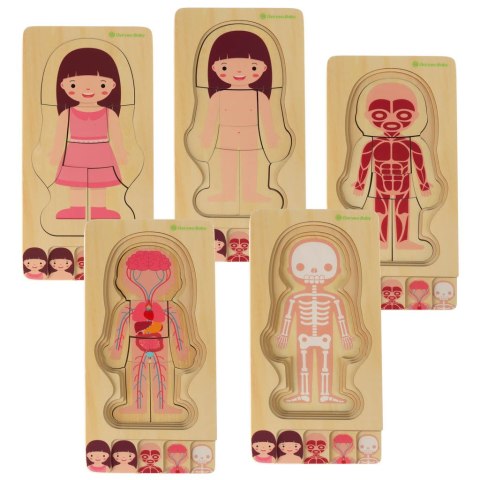 Puzzle drewniane warstwowe budowa ciała montessori dziewczynka Puzzle drewniane warstwowe budowa ciała montessori dziewczynka