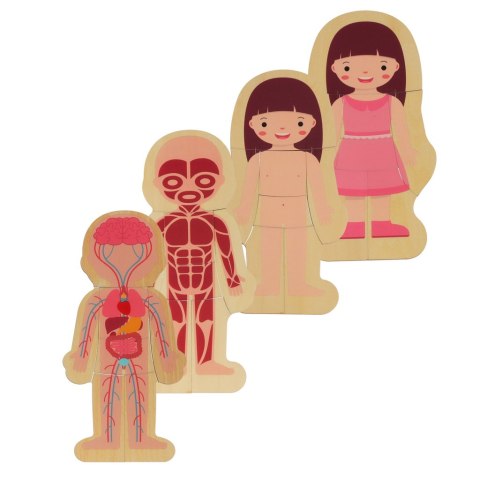 Puzzle drewniane warstwowe budowa ciała montessori dziewczynka Puzzle drewniane warstwowe budowa ciała montessori dziewczynka